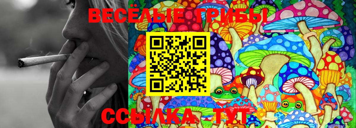 Химки  Галлюциногенные грибы Cubensis  Вход с VPN 